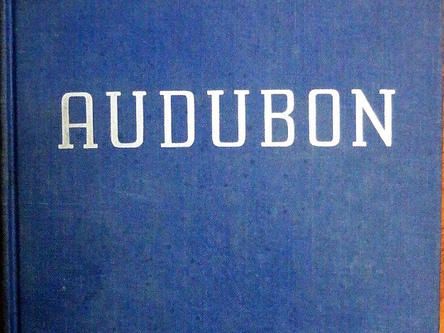 Audubon