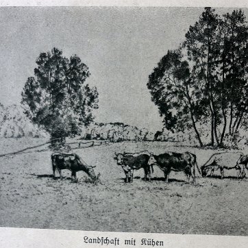 Hausdorf