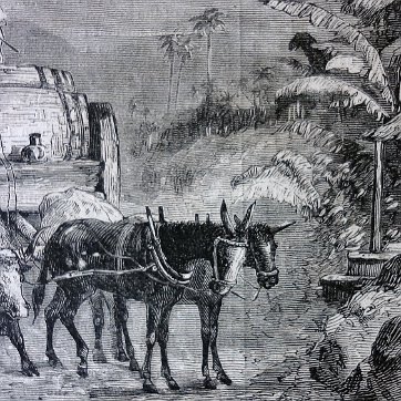 San Domingo