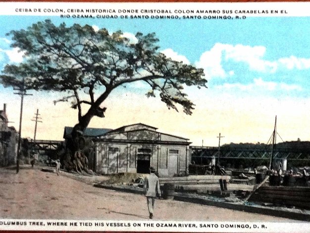 La Ceiba Color post card with the tree called La Ceiba de Colon being the tree where he tied his ships. Dimension is 3.5 by 6...