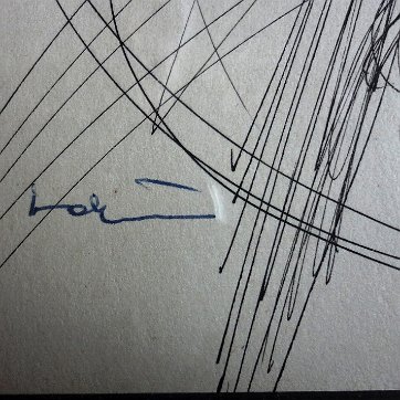Lothar Rare ink on paper of a bird. Paper dimension is 8 by 10 inches. Signed in black in the lower left side. No frame. Nada frecuente tinta sobre papel con un...