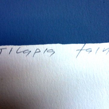 Guadalupe Color etching with the title Tilapia Taina. Paper dimension is 13 by 19 inches. Numbered 5/200. Dated 1987 and signed in pencil in the lower right side. No...