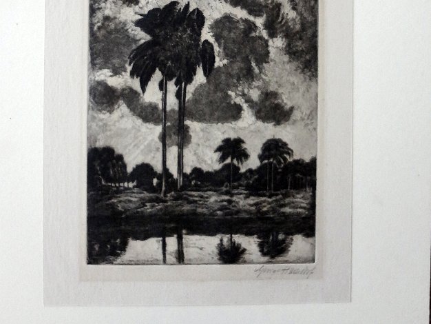 Palmas Original etching with a rural landscape in the Caribbean islands with palm trees in a day with a cloudy sky. Dimension...