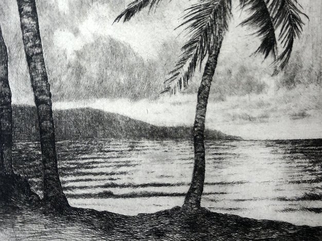 Playa Excellent tropical landscape etching with coconuts trees and the view of Caribbean sea. Paper dimension is 11 by 15...