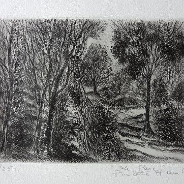 Humbert Original engraving on vellum paper with a limited edition print. Signed in pencil lower right side and numbered 8/25 in the lower left side. Titled “Le Parc”....