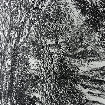 Humbert Original engraving on vellum paper with a limited edition print. Signed in pencil lower right side and numbered 8/25 in the lower left side. Titled “Le Parc”....