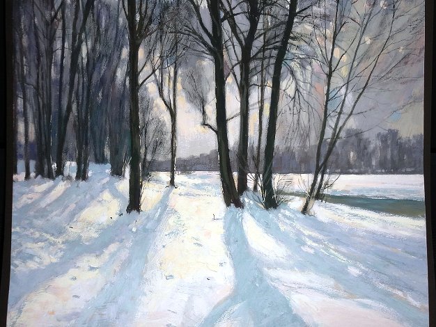 Arboles Invierno
