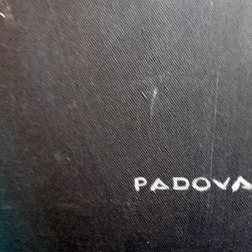 Padovani Oil on canvas with an owl. Dimension is 24 by 30 inches. Signed in white in the lower right side and dated with the year 1993 in the back. No frame. Óleo sobre...
