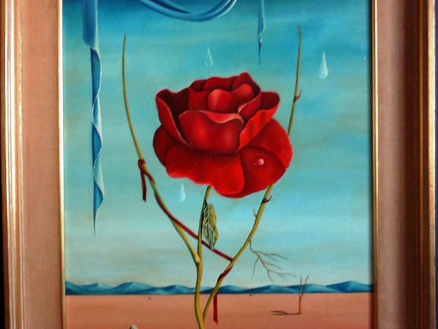 Rosa - Rose