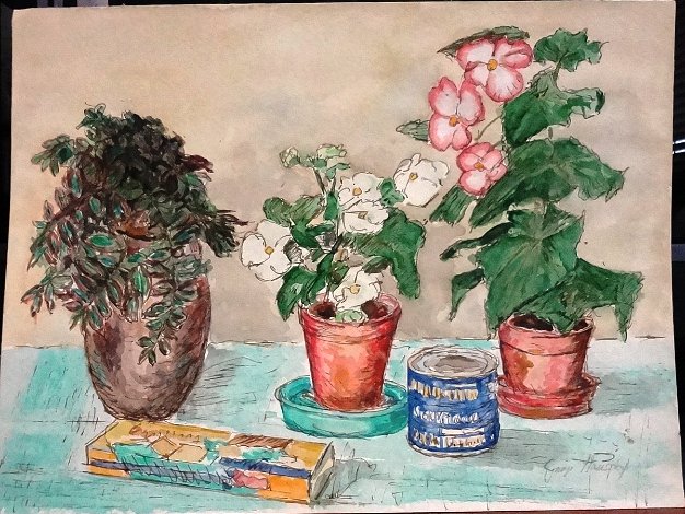 Macetas - Pots