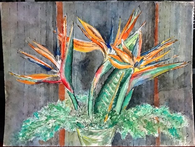 Planta - Plant Excellent watercolor on paper depicting a local plant from the countryside in the Dominican Republic. The paper...