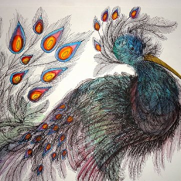 Georgia Rare watercolor on paper with a pheasant by a family of Eva Friedeberg, the daughter of George Hausdorf. Paper dimension is 14 by 18 inches. Signed and dated...