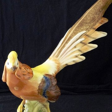 Pheasant - Faisan Katchuste with a large pheasant with orange and yellow colors and with a brown tail, and a dimension of 18 inches long. Katchuste con un faisán grande de color...