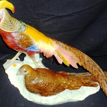 Pheasants - Faisanes Cortendorf with a pair of pheasants, male and female, with great colors and a size of 18 inches long by 12 inches high. Cortendorf con una pareja de faisanes,...