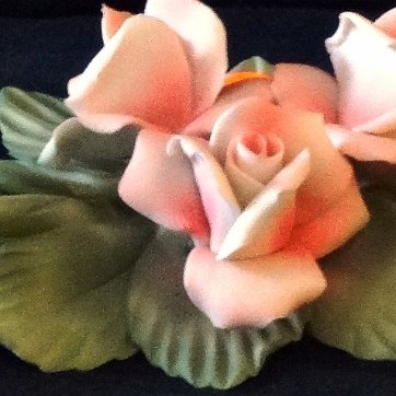 Flowers - Flores Napoleon Capodimonte a group of three pink roses on a branch with spines, with a size of 6 inches long. Napoleon Capodimonte un grupo de tres rosas rosadas...