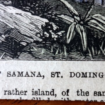 Samana