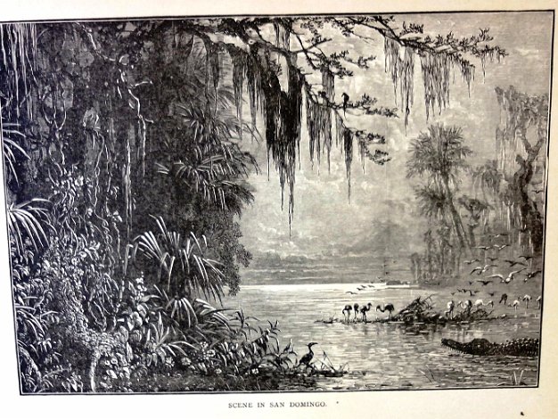 San Domingo Original print with a tropical forest, a river and several animals with the title "Scene in San Domingo" in the island...