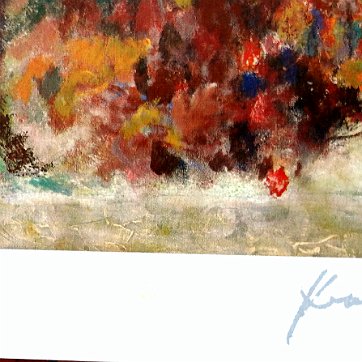 Hua Work of art by Hua Chen, titled “Gathering Blossoms”. Serio lithograph/Print in color on Archival Paper. New with COA and envelope. Produced by Park West...