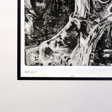 Vela Excellent lithograph with a hand and a flower. Signed in pencil in the lower left side and numbered 67/245. Paper dimension is 14 by 19 inches. No frame....