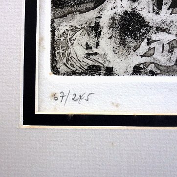 Vela Excellent lithograph with a hand and a flower. Signed in pencil in the lower left side and numbered 67/245. Paper dimension is 14 by 19 inches. No frame....