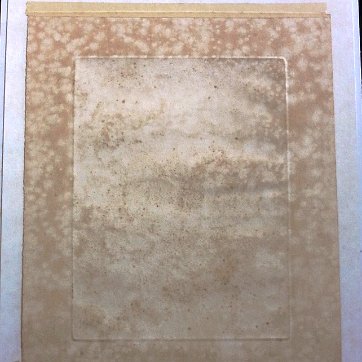 Vela Excellent lithograph with a hand and a flower. Signed in pencil in the lower left side and numbered 67/245. Paper dimension is 14 by 19 inches. No frame....